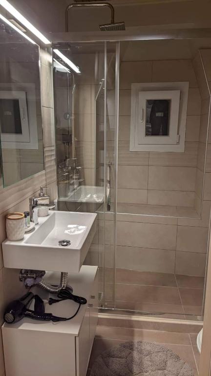 Private bathroom with glass walk-in shower